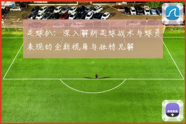 足球扒：深入解析足球战术与球员表现的全新视角与独特见解