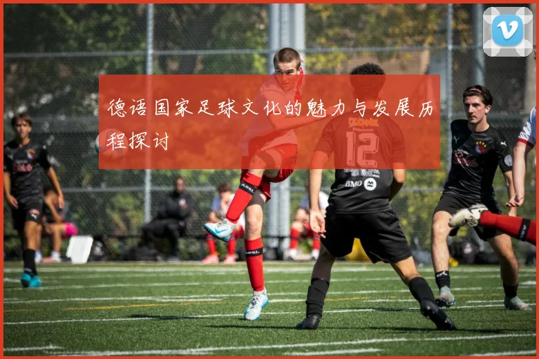 德语国家足球文化的魅力与发展历程探讨