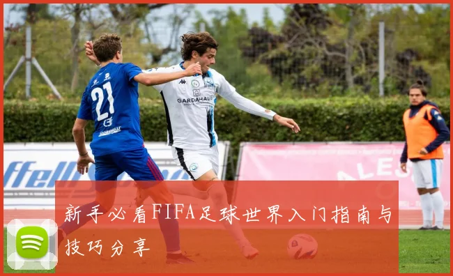 新手必看FIFA足球世界入门指南与技巧分享
