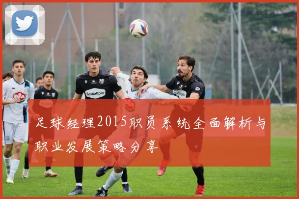足球经理2015职员系统全面解析与职业发展策略分享