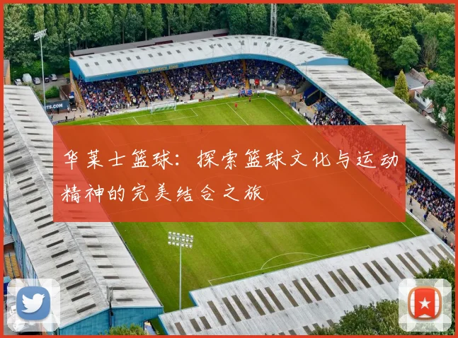 华莱士篮球：探索篮球文化与运动精神的完美结合之旅