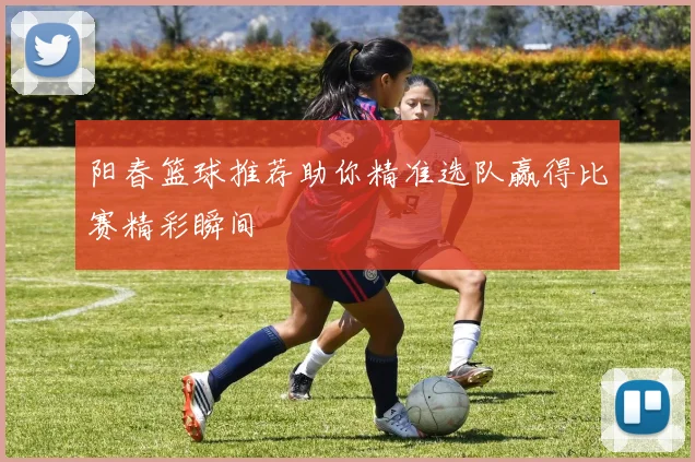 阳春篮球推荐助你精准选队赢得比赛精彩瞬间