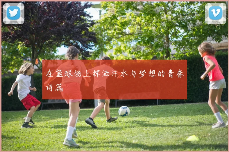 在篮球场上挥洒汗水与梦想的青春诗篇