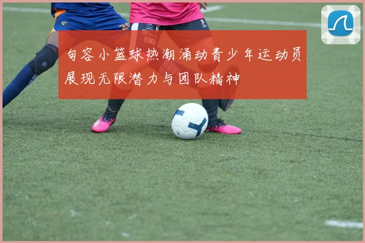 句容小篮球热潮涌动青少年运动员展现无限潜力与团队精神